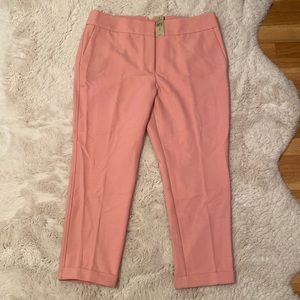 Loft Marisa Pants Size 12P